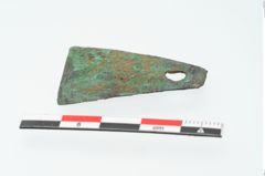 Foto von Bronzeachsnagel (NHMW-PRAE-025272)